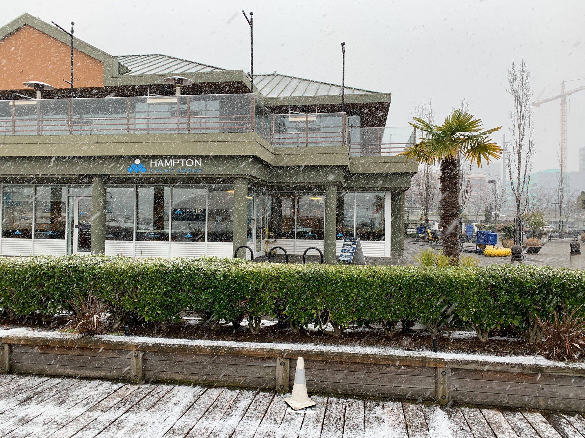 Snow At Seattle Office